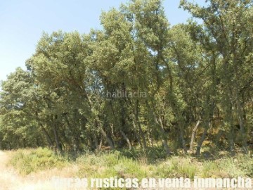 Maisons de campagne à Alcocer