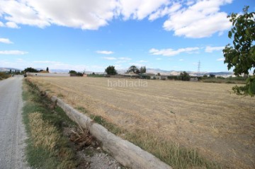 Casas rústicas en Casco Historico