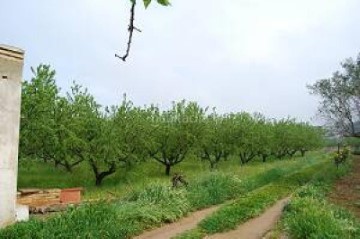 Quintas e casas rústicas  em Santa Bárbara