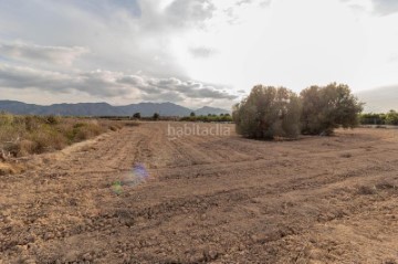 Casas rústicas en Montepinar-La Aparecida-Raiguero