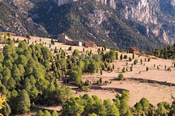 Country homes in Masia de Salvador