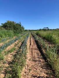 Casas rústicas en Gavà mar