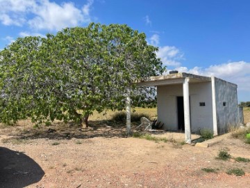 Casas rústicas en Massalfassar