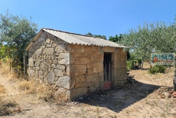 Quintas e casas rústicas em Lardosa