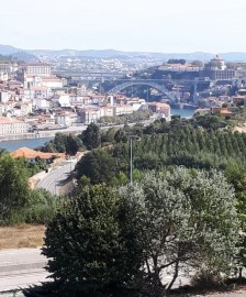 Loja em Aldoar, Foz do Douro e Nevogilde