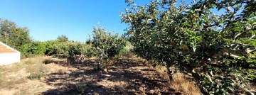 Quintas e casas rústicas 2 Quartos em Aldeia Galega da Merceana e Aldeia Gavinha