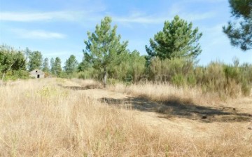 Quintas e casas rústicas em Ribamondego