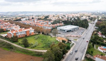 Land in S.Maria e S.Miguel, S.Martinho, S.Pedro Penaferrim