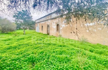 Moradia 3 Quartos em Santa Bárbara de Nexe