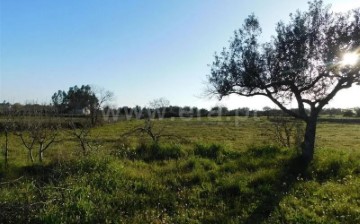 Maisons de campagne à Orca