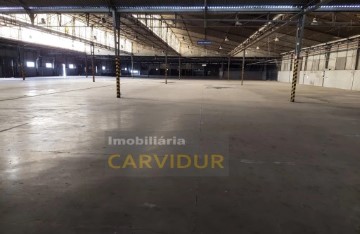 Industrial building / warehouse in São Sebastião