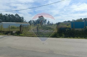 Terreno em Avelãs de Cima