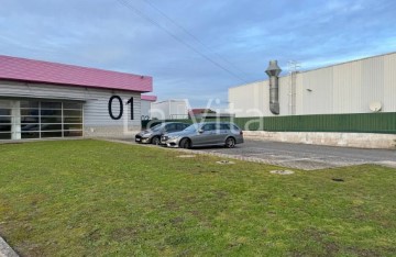 Industrial building / warehouse in São Pedro