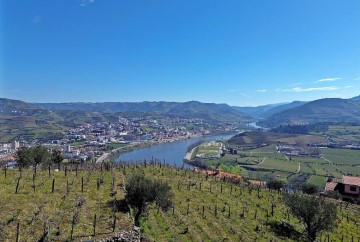 Maison  à Peso da Régua e Godim