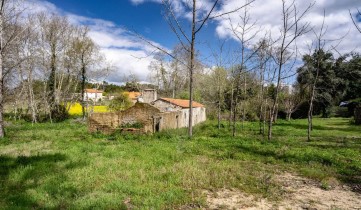 Quintas e casas rústicas em Cantanhede e Pocariça