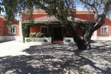 Quintas e casas rústicas 5 Quartos em Santo Estevão