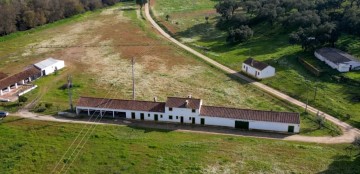 Quintas e casas rústicas 10 Quartos em São Miguel do Rio Torto e Rossio Ao Sul do Tejo
