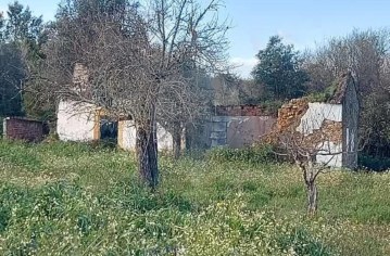 Maisons de campagne à Mouriscas