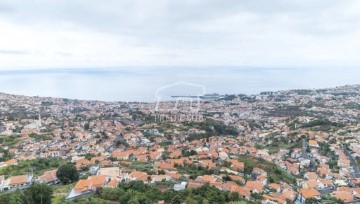 Maison 4 Chambres à Monte