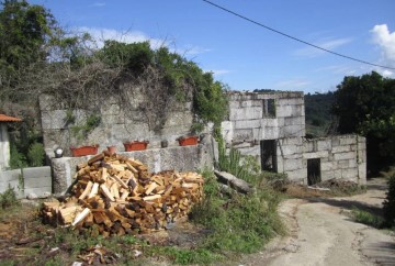 Quintas e casas rústicas 3 Quartos em Santa Cruz do Douro e São Tomé de Covelas