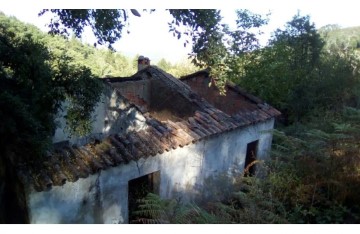 Quintas e casas rústicas em Alferce