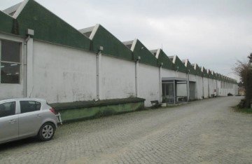Bâtiment industriel / entrepôt à Ovar, S.João, Arada e S.Vicente de Pereira Jusã