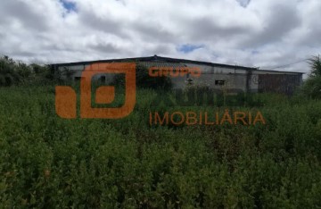 Bâtiment industriel / entrepôt à Reguengo Grande