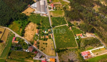 Maison 3 Chambres à Águeda e Borralha