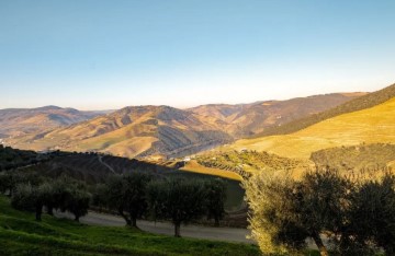 House  in Ervedosa do Douro