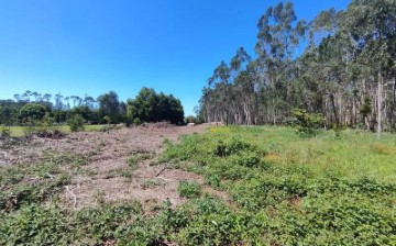 Terrenos en Macieira da Maia