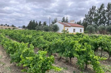 Maison 2 Chambres à Redondo