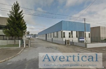 Bâtiment industriel / entrepôt à Modivas