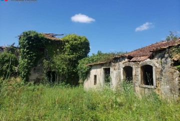 Maison 1 Chambre à Figueira de Lorvão