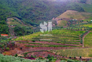 Maison  à Covas do Douro