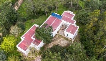 House 5 Bedrooms in Santa Maria, São Pedro e Sobral da Lagoa