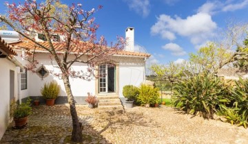 Maison 4 Chambres à Colares