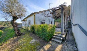 Maison 3 Chambres à Chamusca e Pinheiro Grande