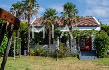 Maison 4 Chambres à Água de Pau