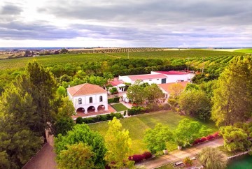 Maison 3 Chambres à Ferreira do Alentejo e Canhestros