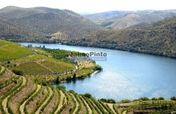 Moradia  em Vila Nova de Foz Côa