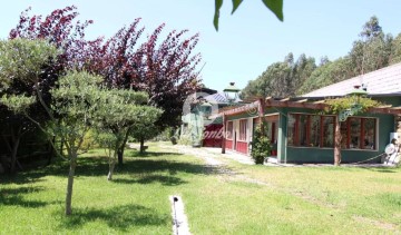 House  in Ribeirão