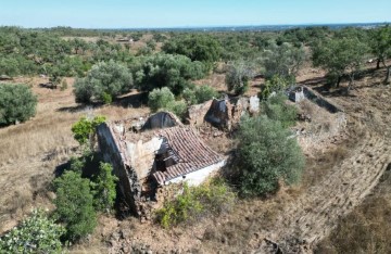 House  in Abela