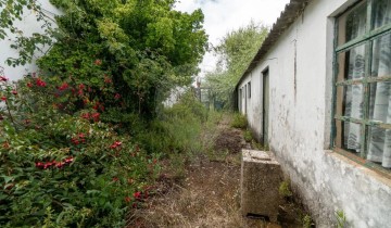 Maison 2 Chambres à Ribafria e Pereiro de Palhacana