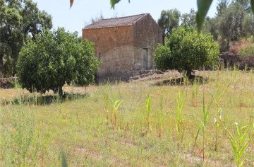 Moradia  em Pedrógão de São Pedro e Bemposta