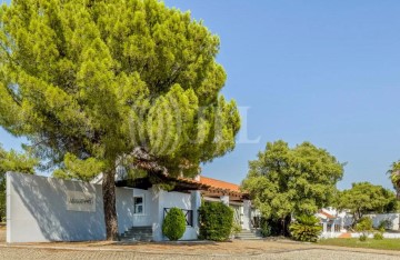 Moradia 10 Quartos em Escalos de Baixo e Mata