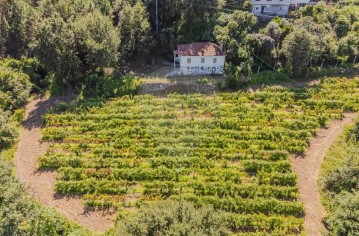 Maison 3 Chambres à Vilela, Seramil e Paredes Secas