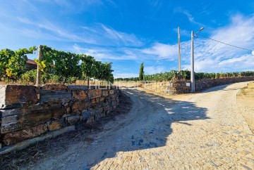 House  in Vila Nova de Foz Côa