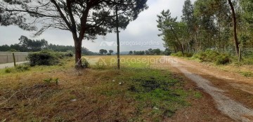 Maison 4 Chambres à Souto da Carpalhosa e Ortigosa