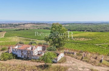 Moradia  em Estremoz (Santa Maria e Santo André)