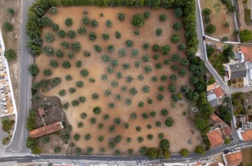 Moradia 4 Quartos em Pedrógão